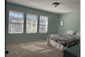 18879 ULMUS STREET, LUTZ, FL 33558 - MLS#MFRO6390759