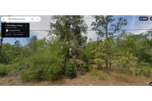 11754 BELLUZZI TERRACE, DUNNELLON, FL 34433 - MLS#MFRO6390812