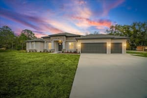 1314 FAYETTEVILLE DRIVE, SPRING HILL, FL 34609 - MLS#MFRO6390936