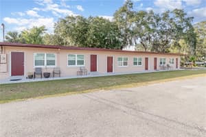 1401 ALFRED STREET, TAVARES, FL 32778 - MLS#MFRO6390942