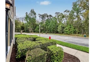 754 CENTERVALE DRIVE, CELEBRATION, FL 34747 - MLS#MFRO6390967