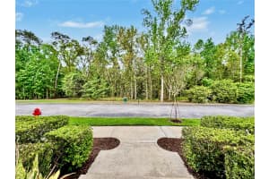 754 CENTERVALE DRIVE, CELEBRATION, FL 34747 - MLS#MFRO6390967
