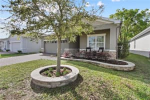 420 SPRING POND LANE, MOUNT DORA, FL 32757 - MLS#MFRO6391004