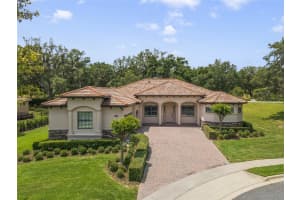 32551 HAWKS LAKE LANE, SORRENTO, FL 32776 - MLS#MFRO6391127