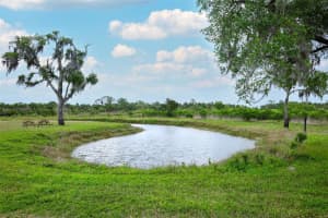 2269 MULLET LAKE PARK ROAD, GENEVA, FL 32732 - MLS#MFRO6391228