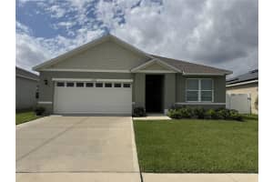 1061 FIG STREET, TAVARES, FL 32778 - MLS#MFRO6391248