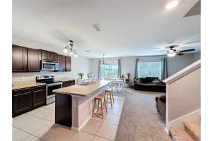 3689 MAIDENCAIN STREET, CLERMONT, FL 34714 - MLS#MFRO6391272