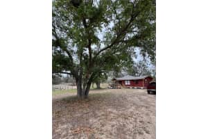 18001 PHIL C PETERS ROAD, WINTER GARDEN, FL 34787 - MLS#MFRO6391296