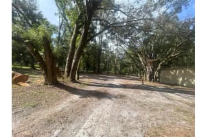 14215 97TH ROAD, LIVE OAK, FL 32060 - MLS#MFRO6391335