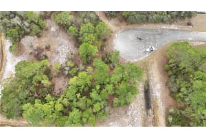 1255 WAHNETA DRIVE, KISSIMMEE, FL 34759 - MLS#MFRO6391382