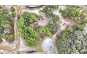 1255 WAHNETA DRIVE, KISSIMMEE, FL 34759 - MLS#MFRO6391382