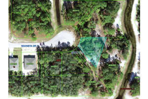 1256 WAHNETA DRIVE, KISSIMMEE, FL 34759 - MLS#MFRO6391396