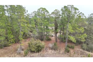 1256 WAHNETA DRIVE, KISSIMMEE, FL 34759 - MLS#MFRO6391396