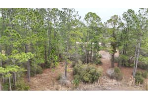 1256 WAHNETA DRIVE, KISSIMMEE, FL 34759 - MLS#MFRO6391396