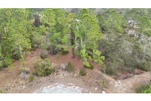 1256 WAHNETA DRIVE, KISSIMMEE, FL 34759 - MLS#MFRO6391396