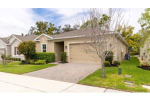 1968 IBIS BAY COURT, OCOEE, FL 34761 - MLS#MFRO6391445