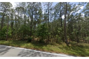 POYNER OAKS RD N, POLK CITY, FL 33868 - MLS#MFRO6391490