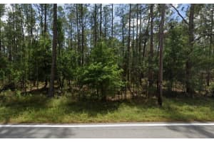 POYNER OAKS RD N, POLK CITY, FL 33868 - MLS#MFRO6391490