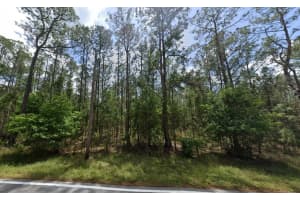 POYNER OAKS RD N, POLK CITY, FL 33868 - MLS#MFRO6391490