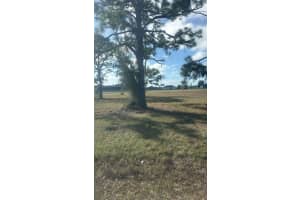 19 CARLINE LANE, PLACIDA, FL 33946 - MLS#MFRO6391491