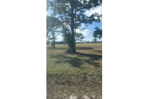 19 CARLINE LANE, PLACIDA, FL 33946 - MLS#MFRO6391491