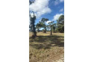 19 CARLINE LANE, PLACIDA, FL 33946 - MLS#MFRO6391491