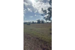 19 CARLINE LANE, PLACIDA, FL 33946 - MLS#MFRO6391491