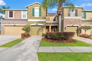 12581 Streamdale Dr, TAMPA