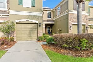 12581 STREAMDALE DRIVE, TAMPA, FL 33626 - MLS#MFRO6391513