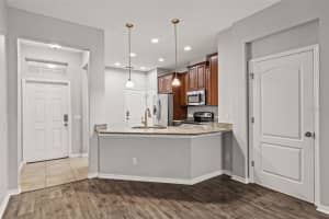 12581 STREAMDALE DRIVE, TAMPA, FL 33626 - MLS#MFRO6391513