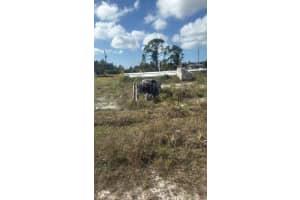 7 BAIL COURT, PLACIDA, FL 33946 - MLS#MFRO6391581