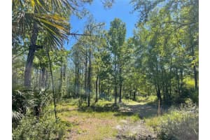 HARRISON RD, MIMS, FL 32754 Sold 03/31/26