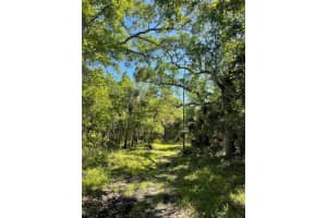 HARRISON RD, MIMS, FL 32754 Sold 03/31/26