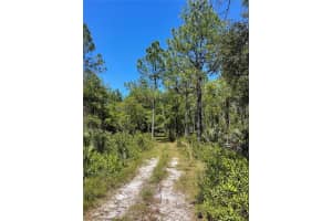 HARRISON RD, MIMS, FL 32754 Sold 03/31/26