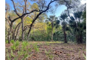 HARRISON RD, MIMS, FL 32754 Sold 03/31/26