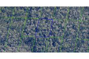 2220 DILL ROAD, ORLANDO, FL 32820 - MLS#MFRO6391702