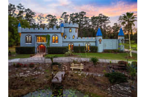 14502 SCOTCH PINE COURT, ORLANDO, FL 32832 - MLS#MFRO6391745