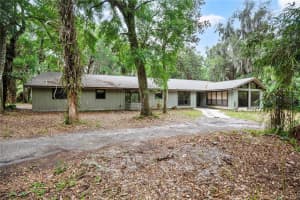599 LAKE GENEVA ROAD, GENEVA, FL 32732 - MLS#MFRO6391748