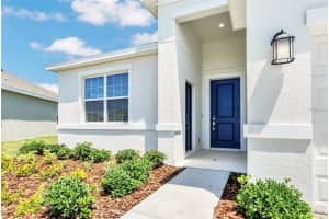4213 PATTERSON COVE, KISSIMMEE, FL 34746 - MLS#MFRO6391799