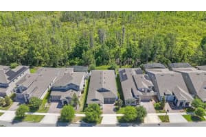 10705 PETRILLO WAY, WINTER GARDEN, FL 34787 - MLS#MFRO6391807