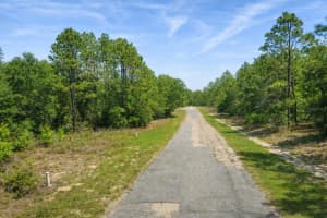 11328 CATHY TERRACE, DUNNELLON, FL 34434 - MLS#MFRO6391880