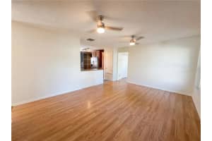 1203 BRISTOLWOOD STREET, BRANDON, FL 33510 - MLS#MFRO6391898