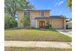 3114 W Paris St, TAMPA