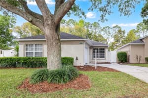 4226 SNOWDON STREET, CLERMONT, FL 34711 - MLS#MFRO6391966