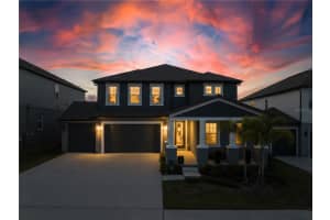 2197 GOLD DUST DRIVE, MINNEOLA, FL 34715 - MLS#MFRO6392005