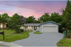 303 EVERGREEN COURT, APOPKA, FL 32712 - MLS#MFRO6392066