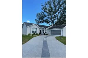 313 GONZALES PLACE, LADY LAKE, FL 32159 - MLS#MFRO6392102