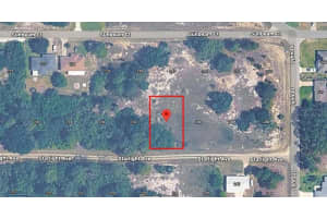 236 STARLIGHT AVENUE, LAKE PLACID, FL 33852 - MLS#MFRO6392106