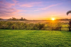 1675 AMSEL FALLS PARK TERRACE, WINTER GARDEN, FL 34787 - MLS#MFRO6392108