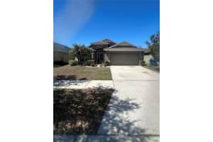 11543 TANGLE CREEK BOULEVARD, GIBSONTON, FL 33534 - MLS#MFRO6392266